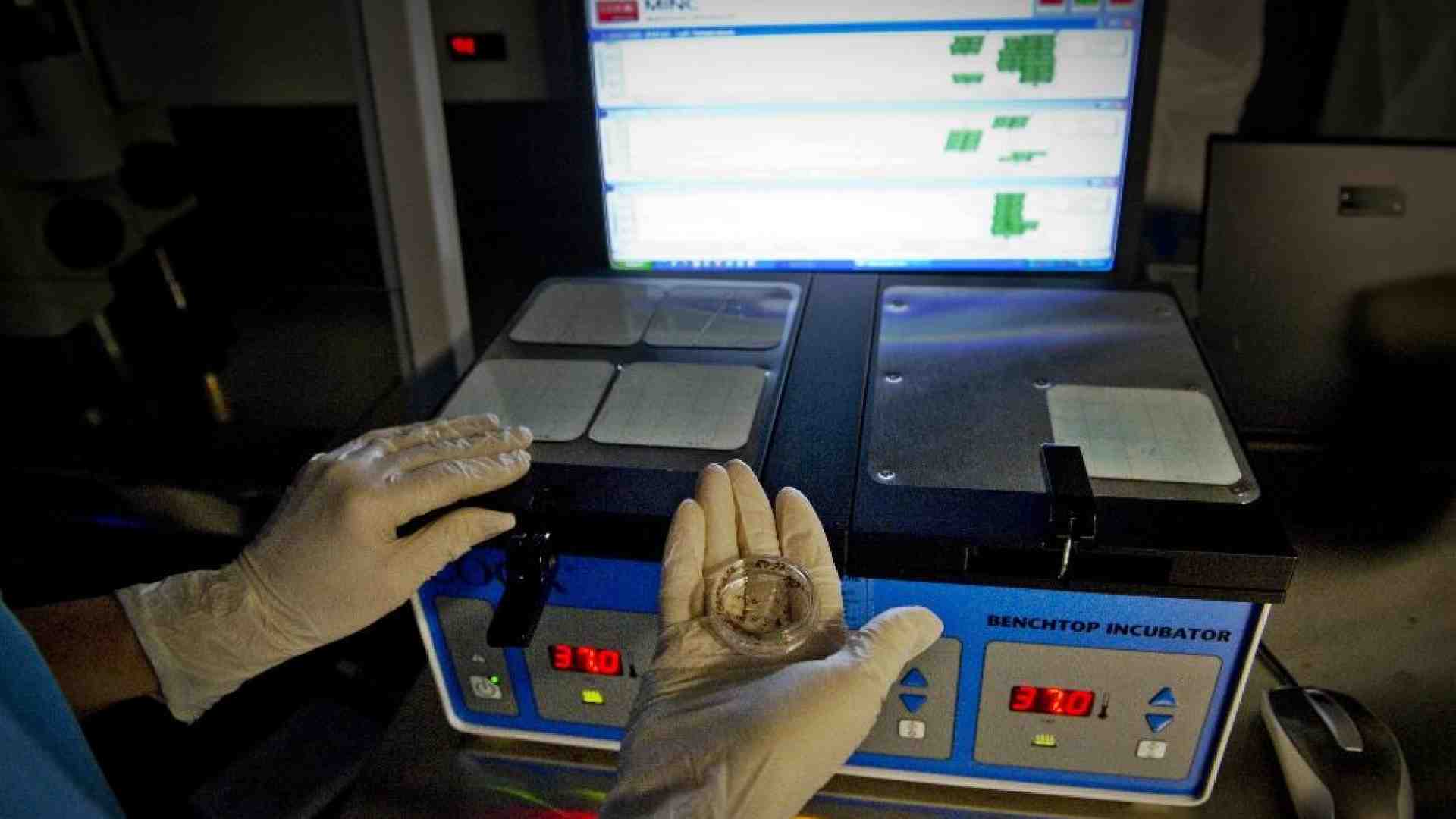 Immagine di Sono “figli della provetta” 4 neonati su 100. Aumentano gli embrioni congelati