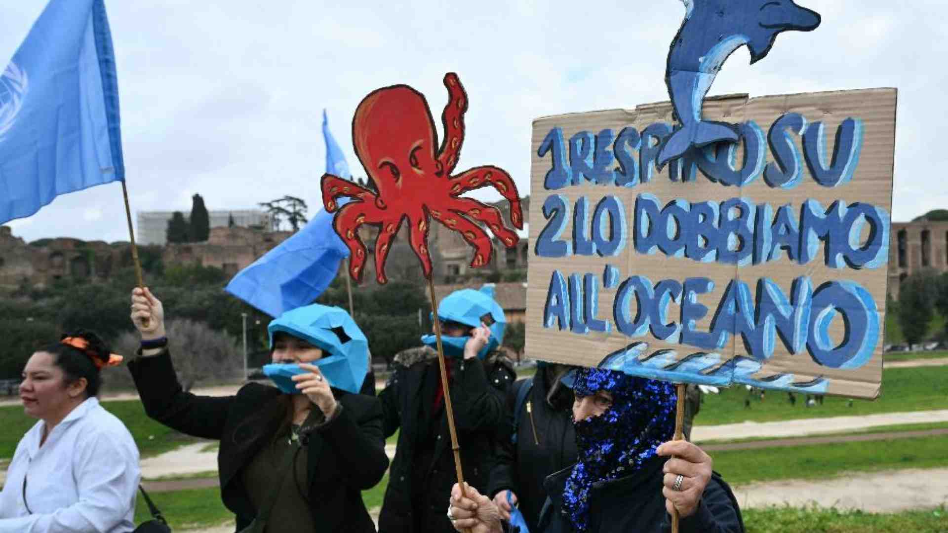 Immagine di Alla Cop16 si è fatto un accordo in extremis per tutelare la biodiversità
