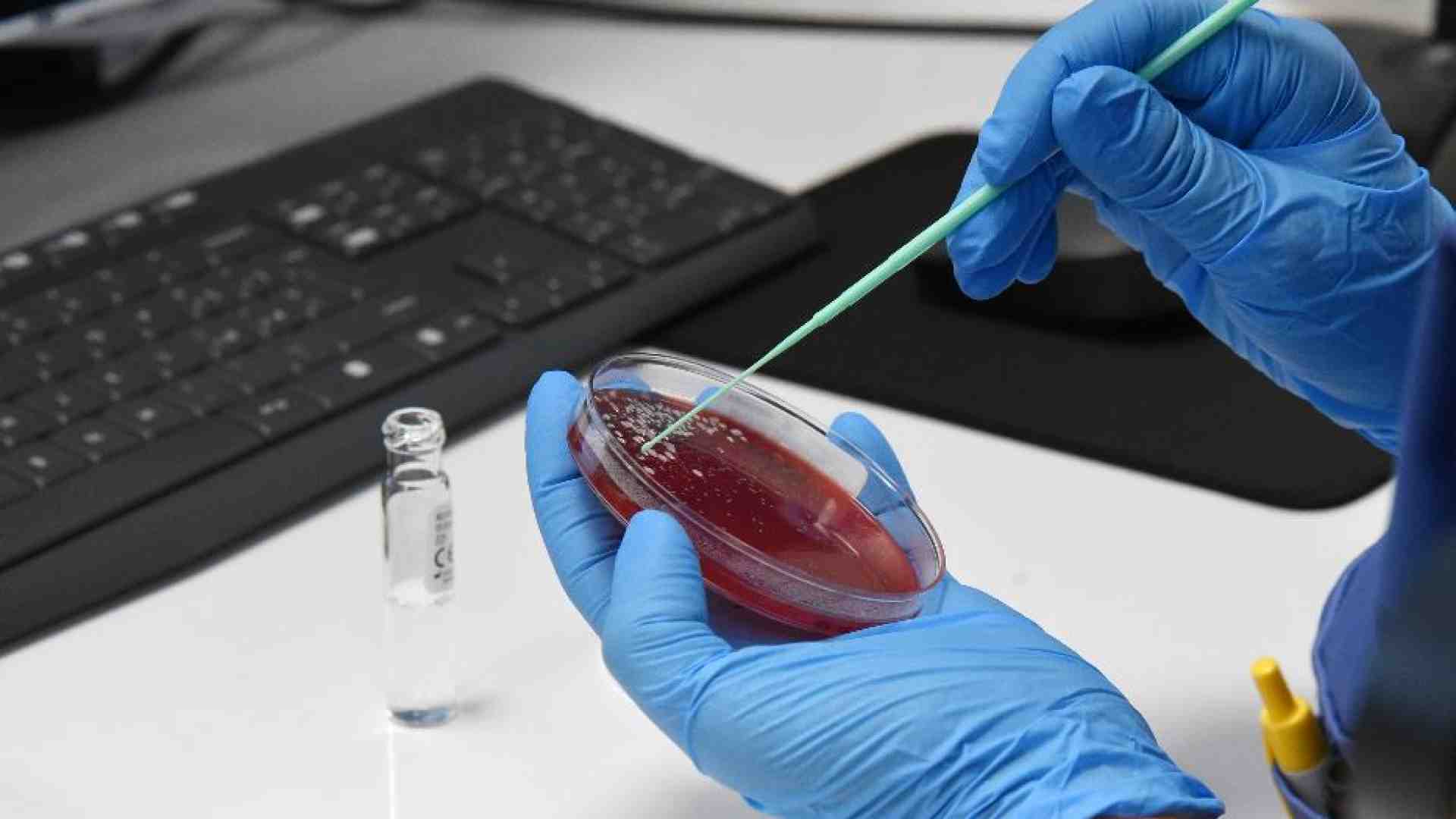 Immagine di Malattie rare, in Italia 100mila senza diagnosi