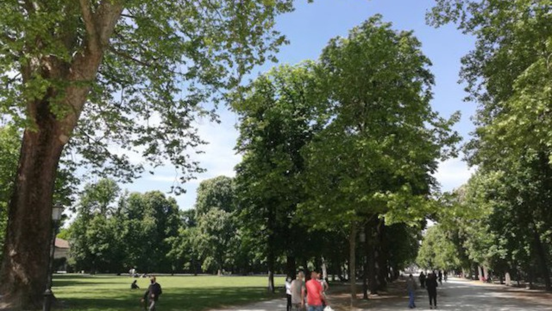 Immagine di Parma: scontri in pieno centro