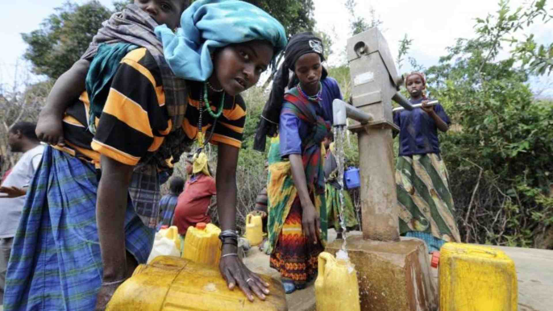 Immagine di Lo stop a Usaid colpisce le Ong cattoliche