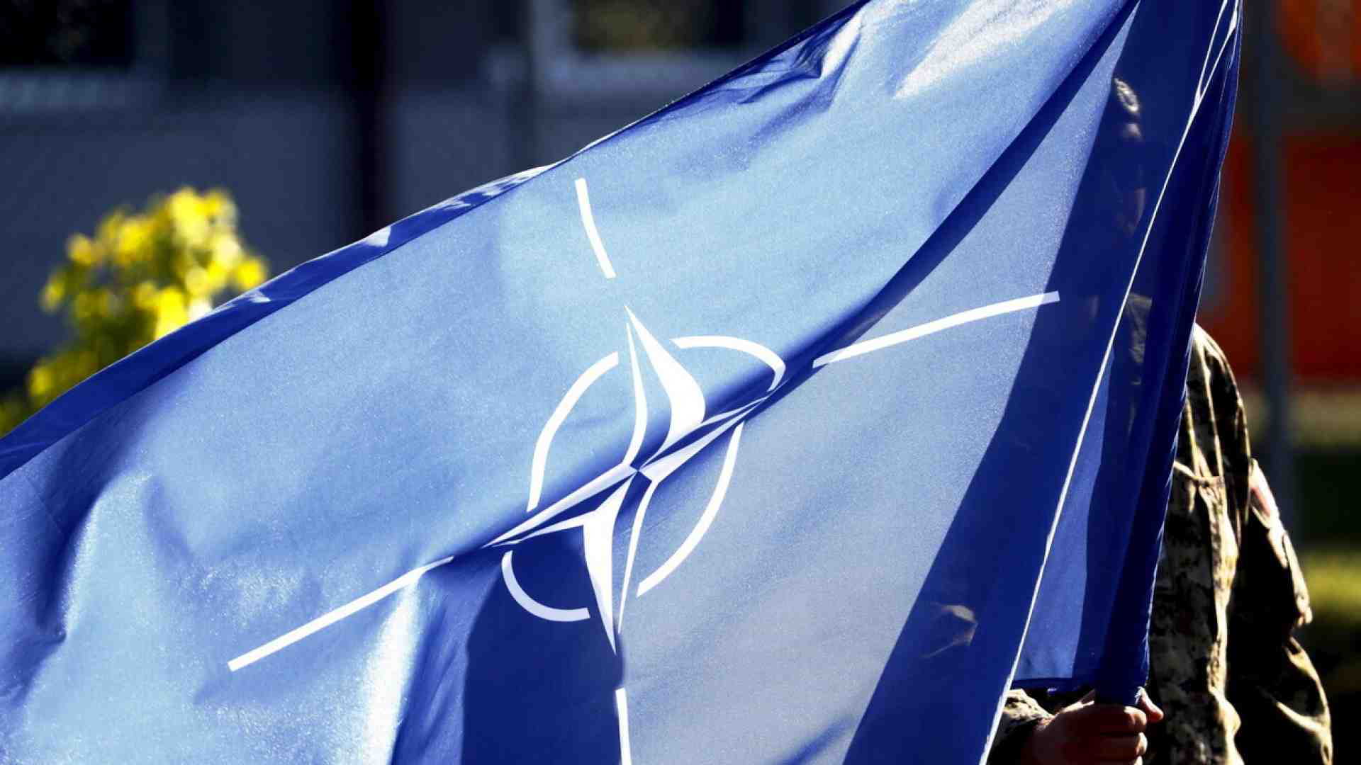 Immagine di In piazza con le insegne della Nato. Viva il frondismo a destra contro Trump