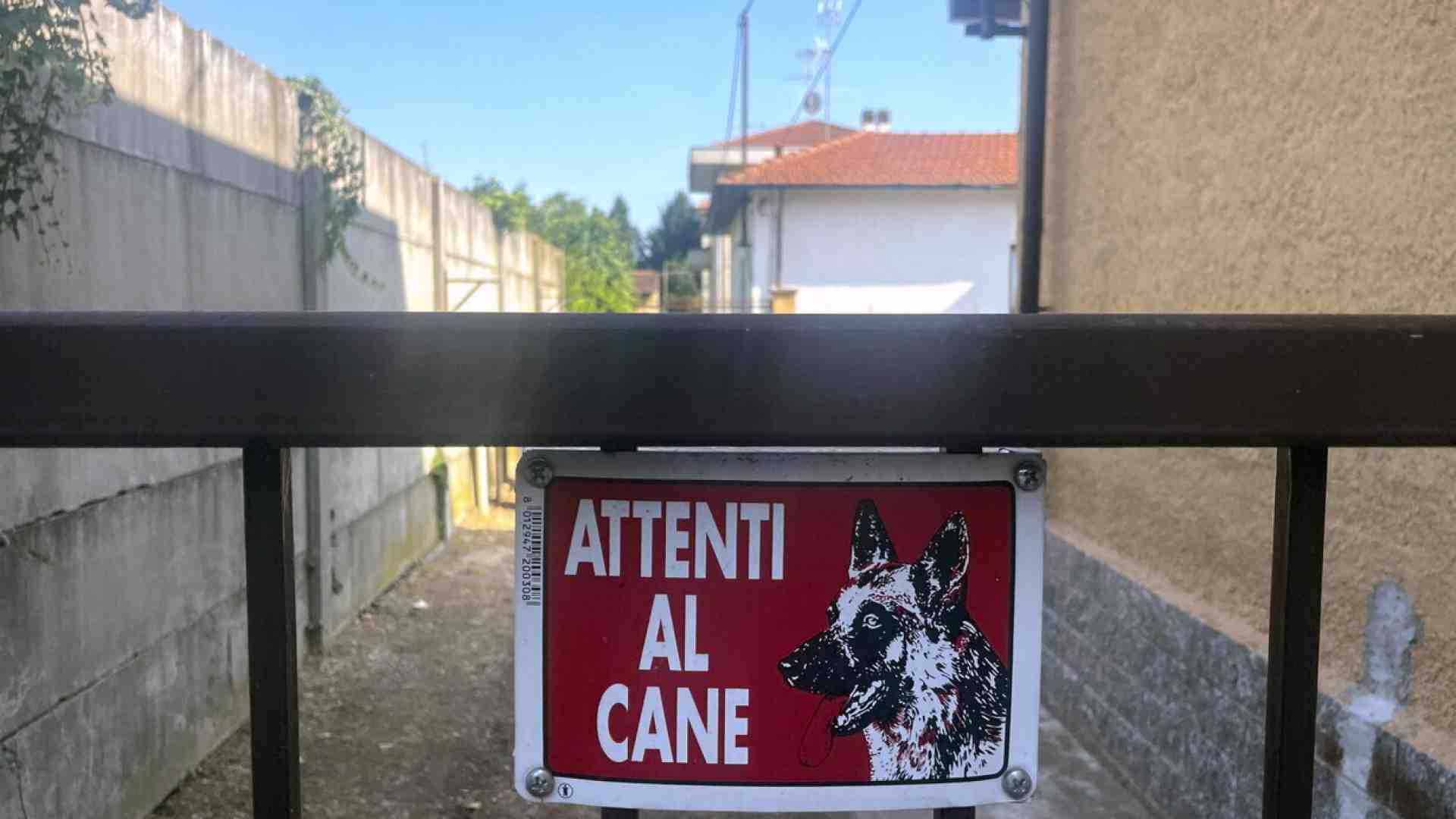 Immagine di In Italia i sacrifici umani avvengono per colpa dei cani