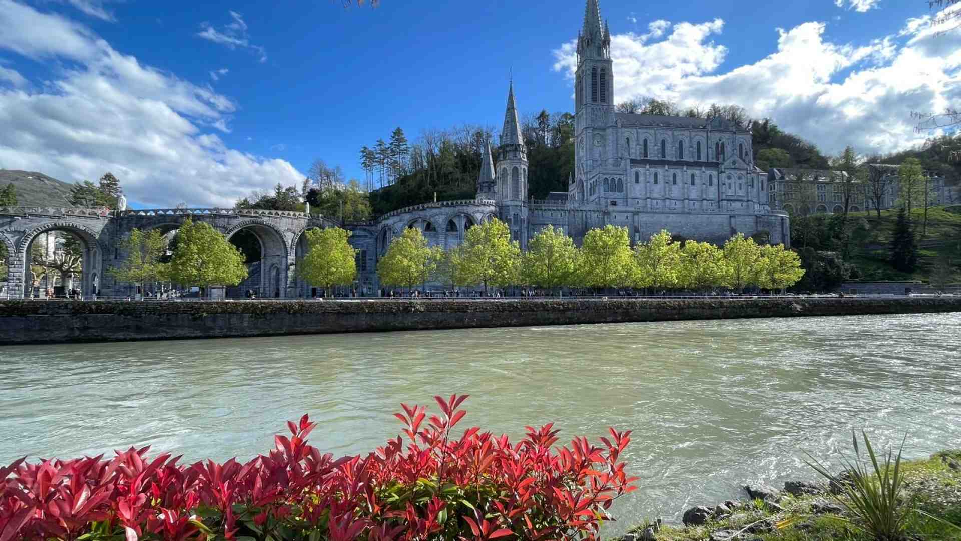 Immagine di Pellegrini di speranza alla grotta di Lourdes