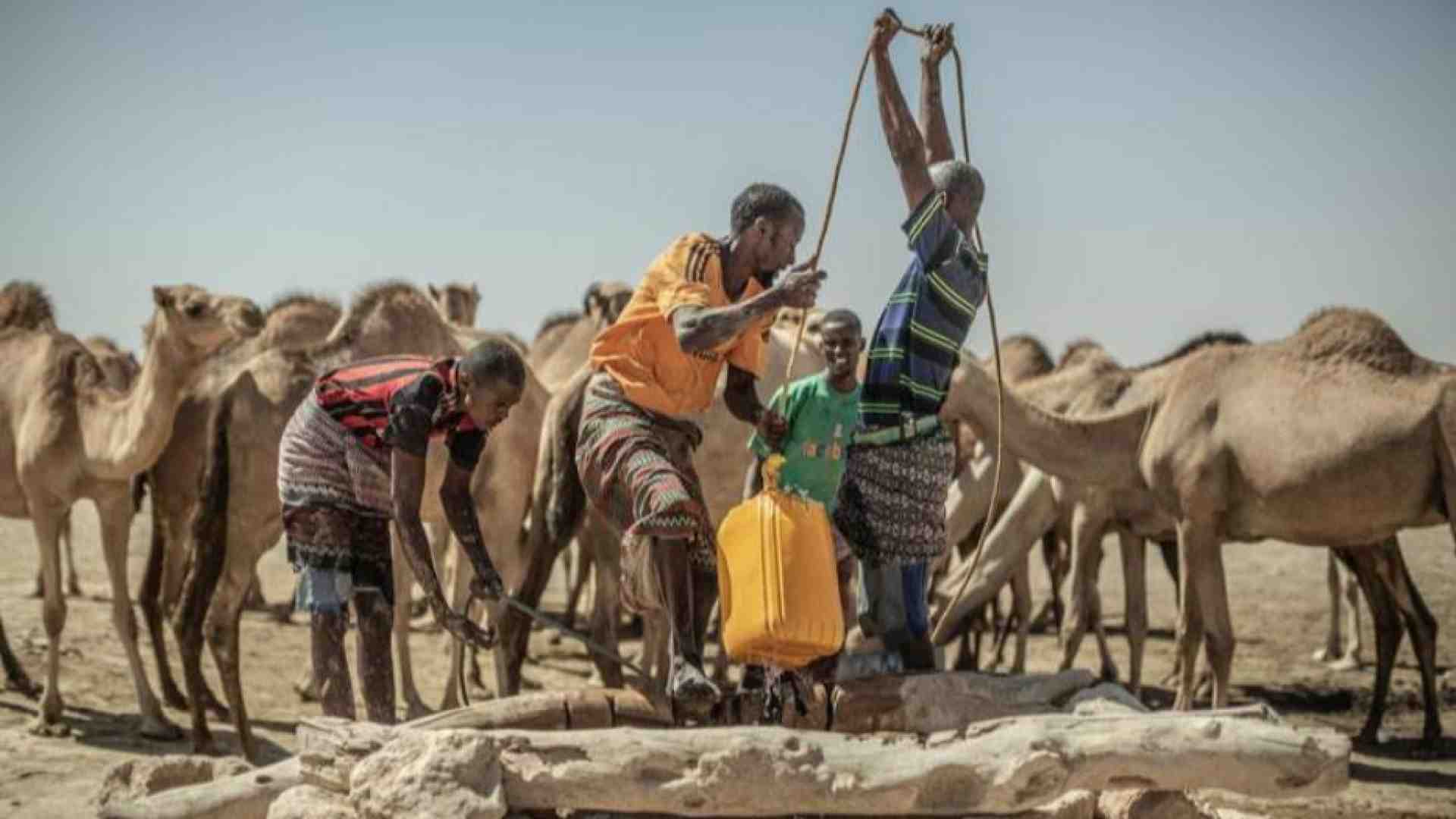 Immagine di L'allarme Onu: record di profughi climatici nel 2024