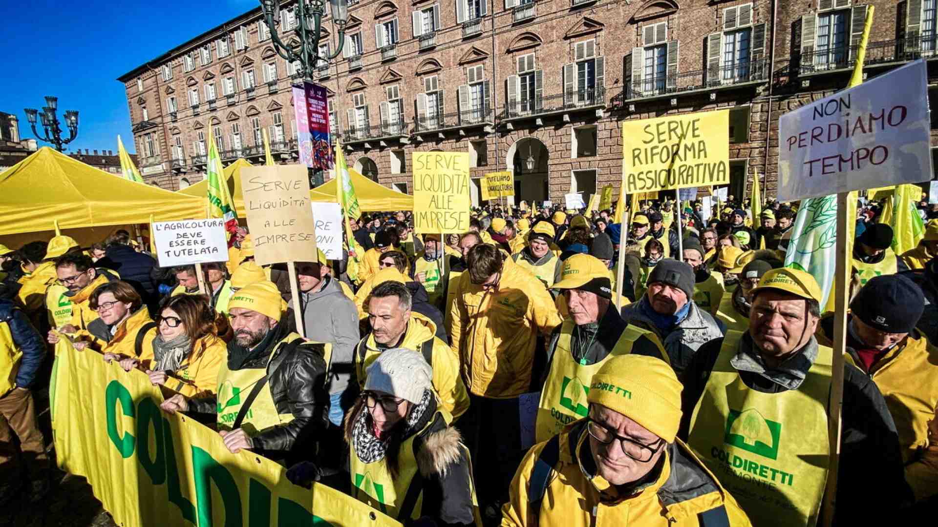 Immagine di La comunità scientifica risponde a Coldiretti: "Le richieste sulla carne sintetica non hanno base scientifica"