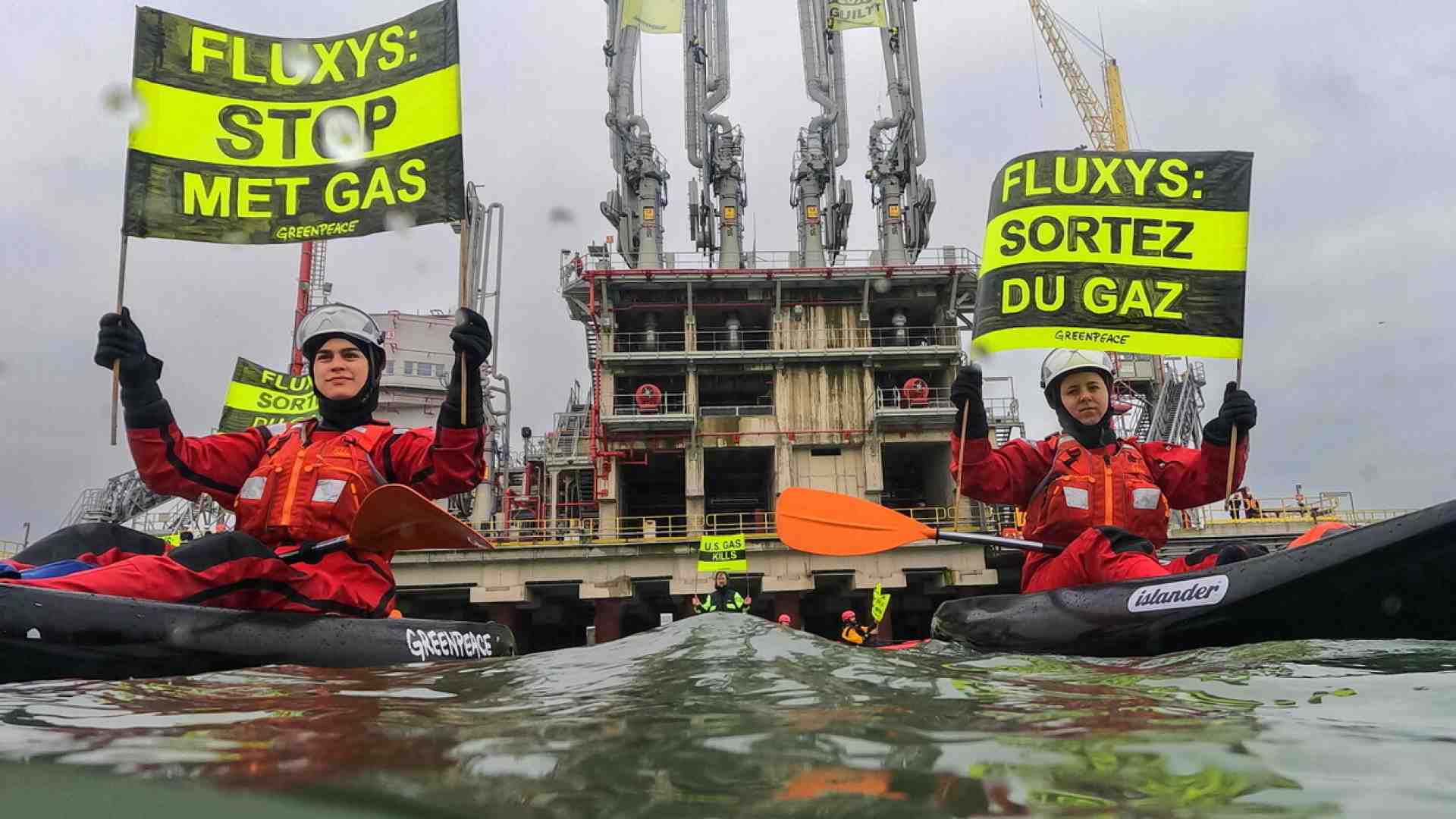 Immagine di Una lezione a Greenpeace