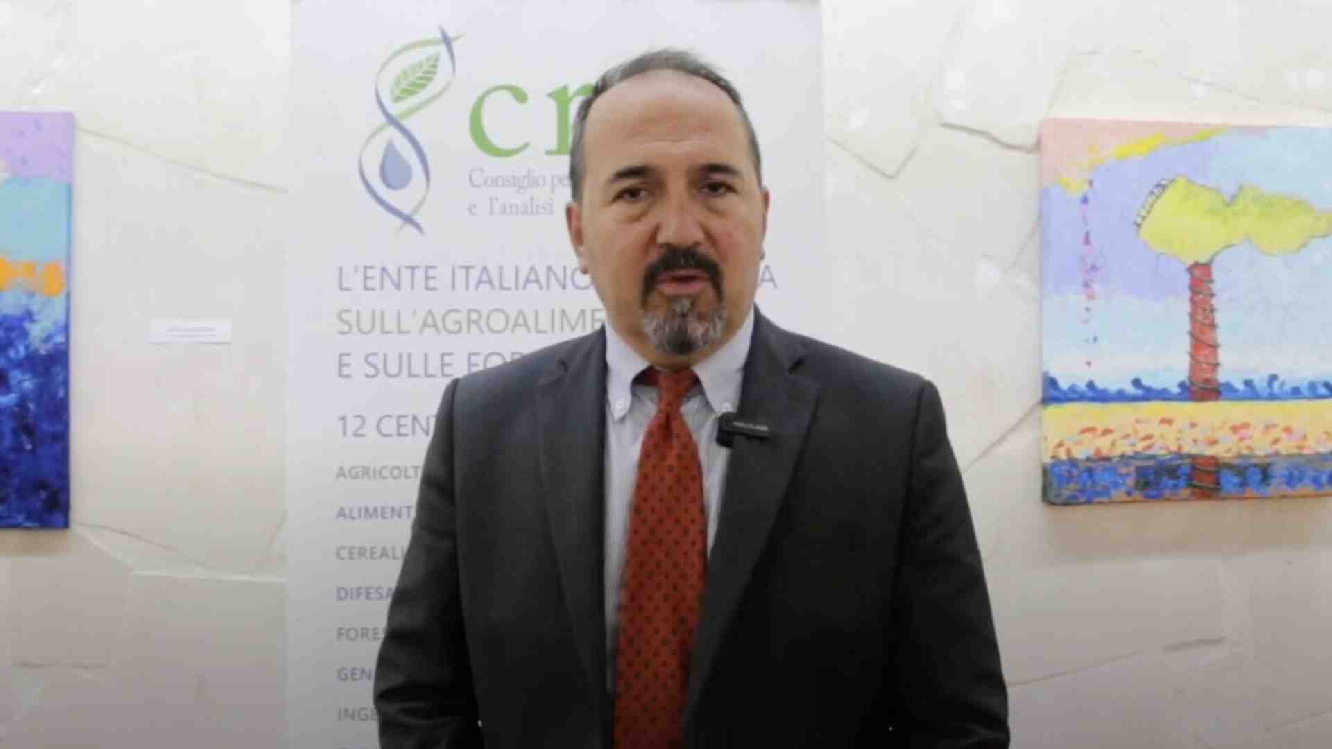 Immagine di La surreale audizione di Rocchi (Crea) sul Mercosur