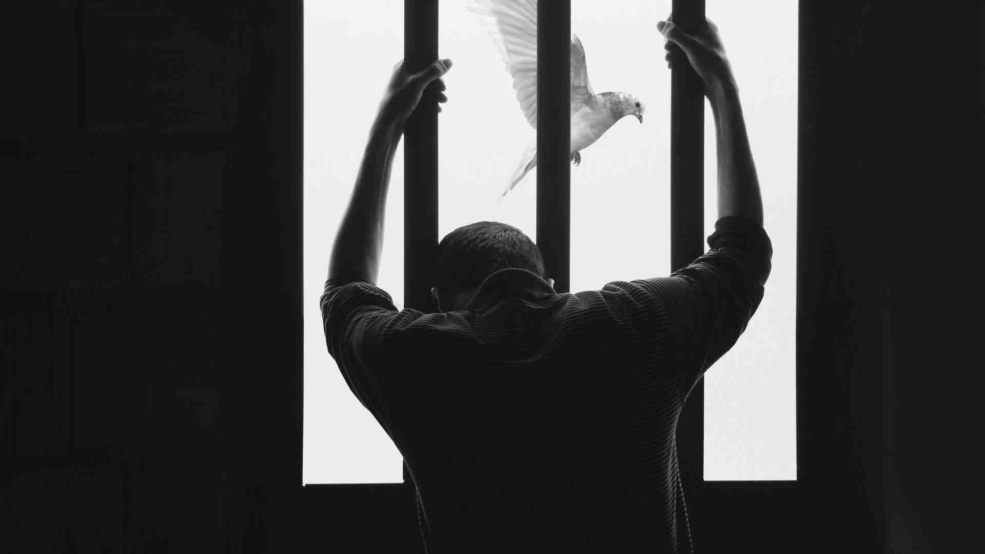 Immagine di Carceri: mettere in campo tutte le strategie e risorse possibili per fronteggiare la crisi attuale e mantenere la funzione rieducativa