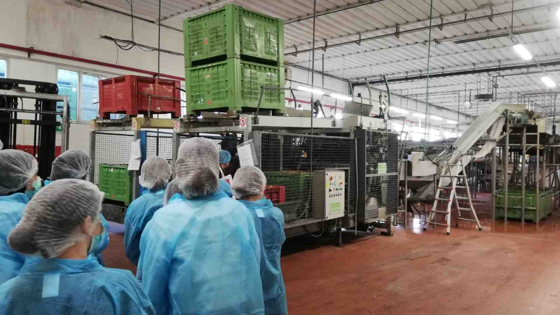 Immagine di Studenti esplorano le aziende per costruire il proprio futuro lavorativo