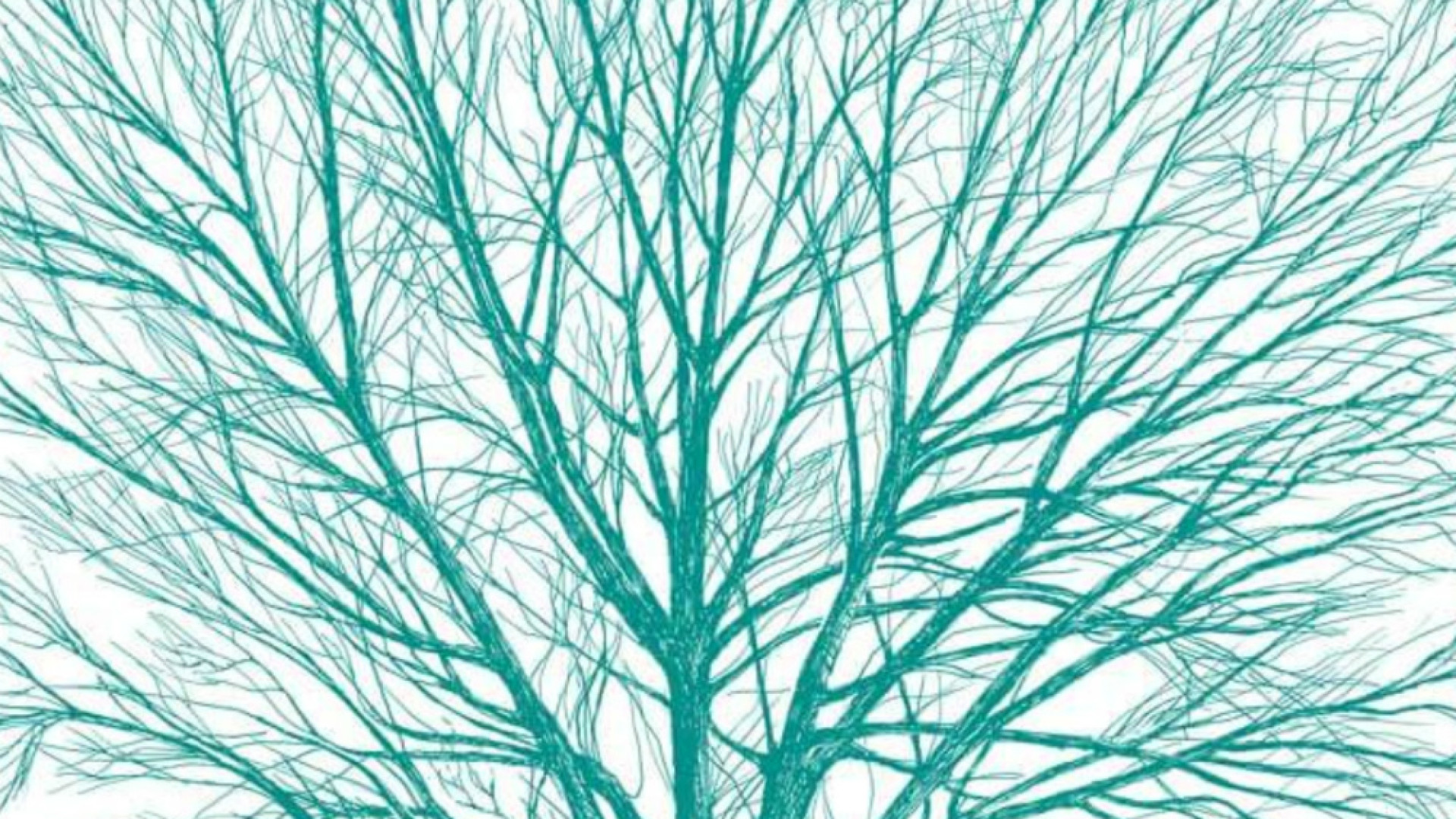 Immagine di Se le città crescono intorno agli alberi