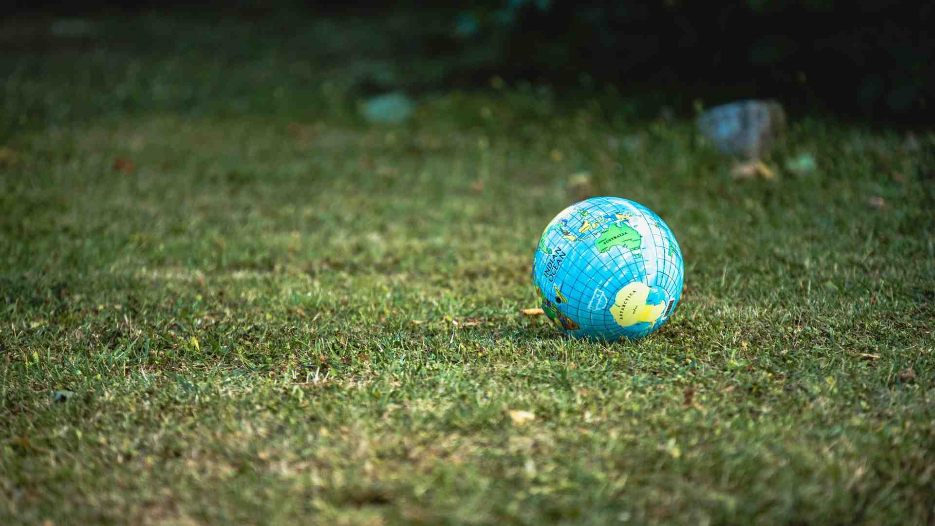 Immagine di Il Climate Prize rispolvera Bloom