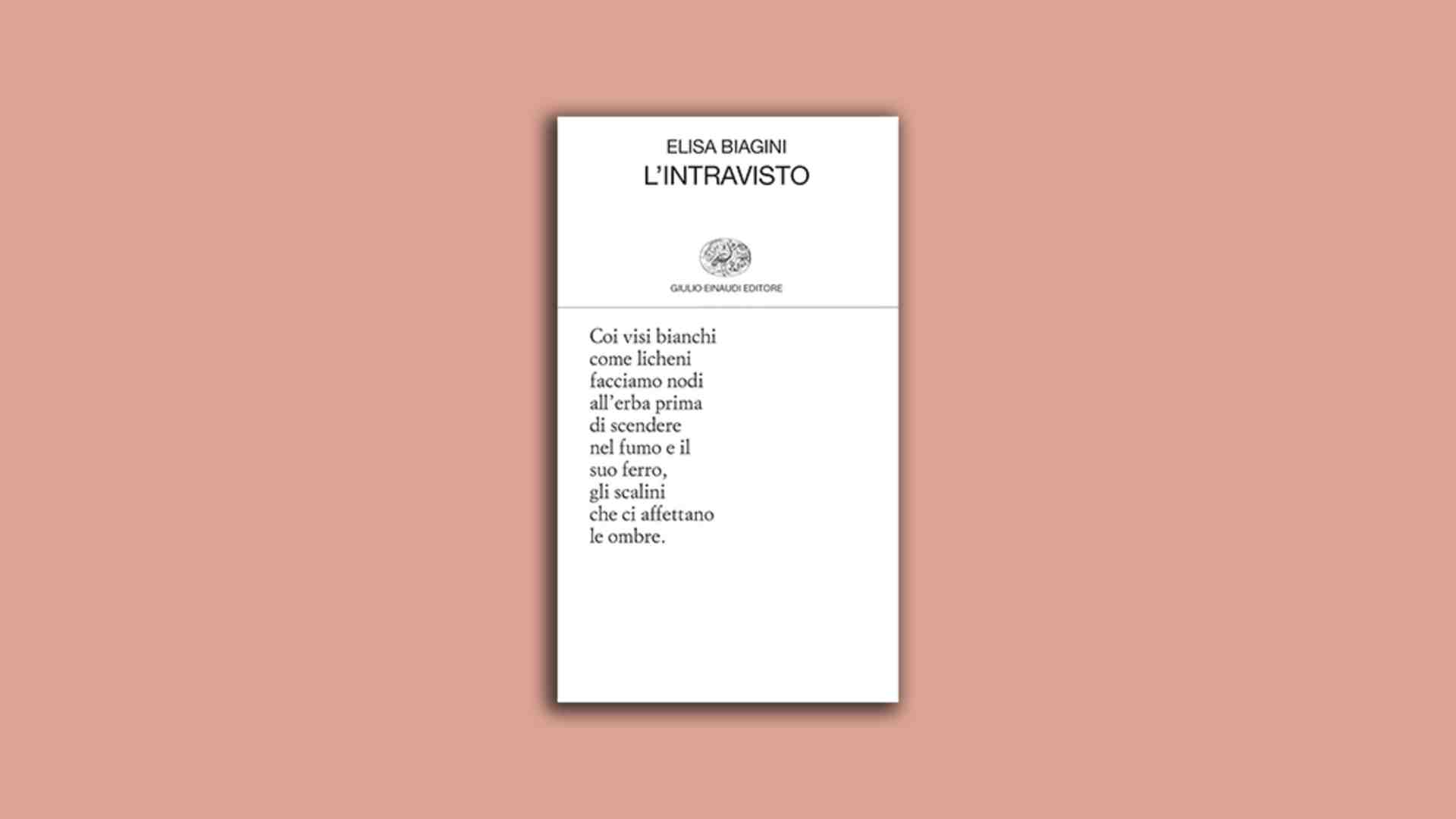 Immagine di L’intravisto