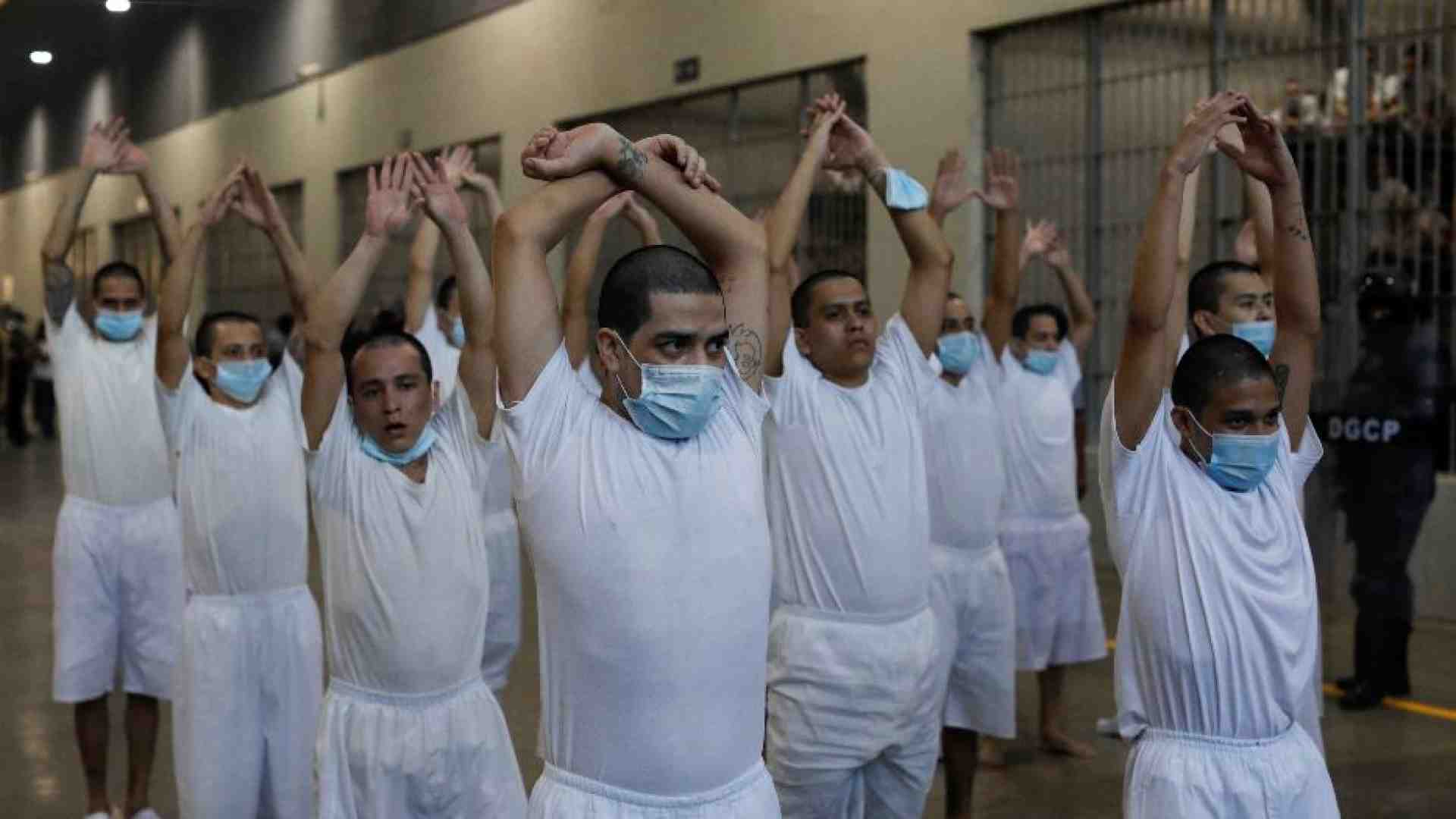 Immagine di Trump vuole “tracciare” i deportati come i pacchi di Amazon