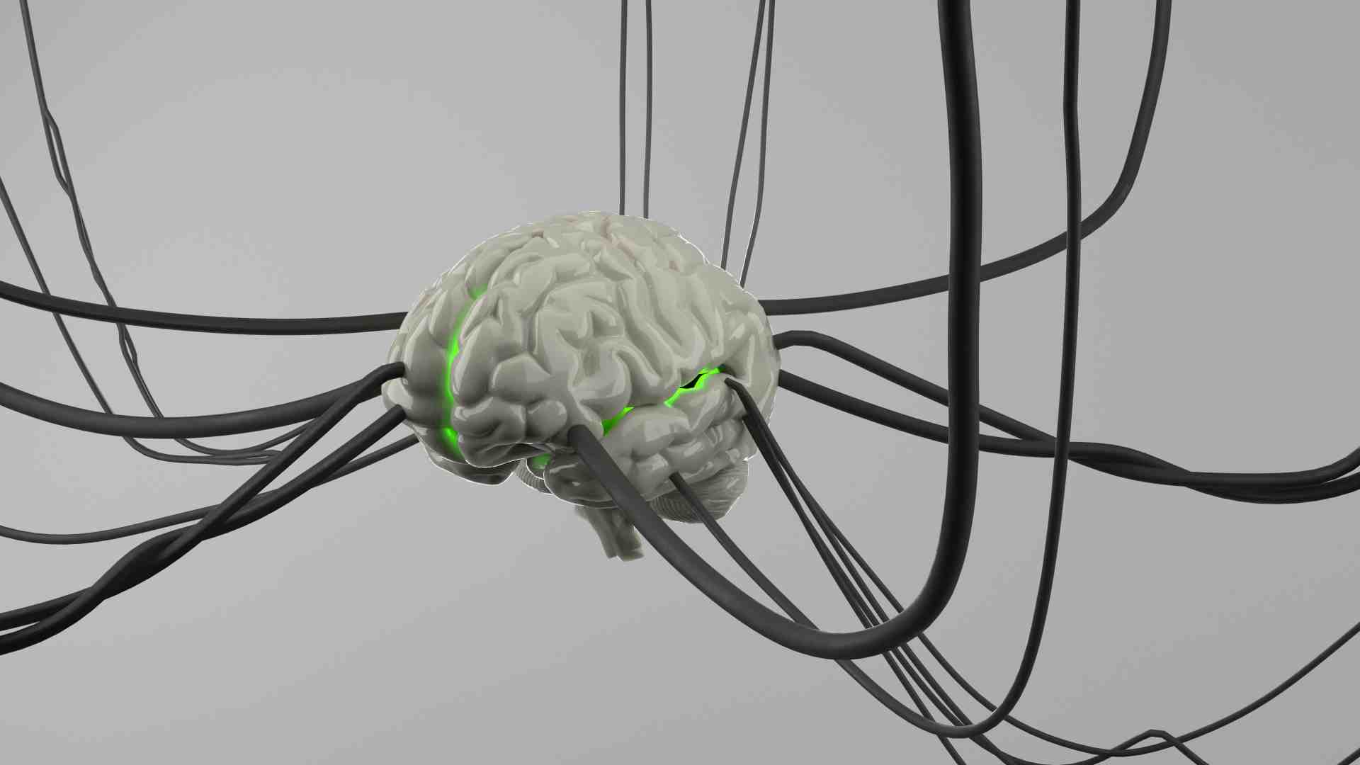Immagine di Non una, ma molte intelligenze: alle radici della cognizione complessa