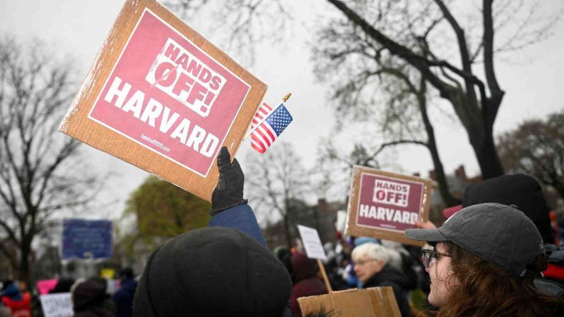 Immagine di La guerra di Trump con Harvard. Cosa sta succedendo