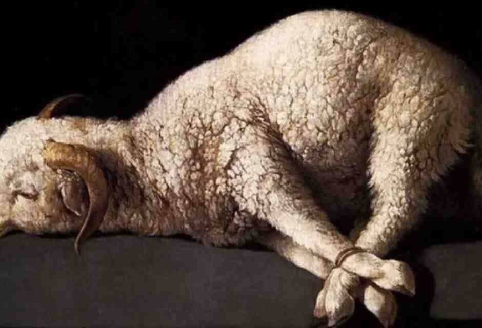 Agnus Dei, Francisco de Zurbar&agrave;n