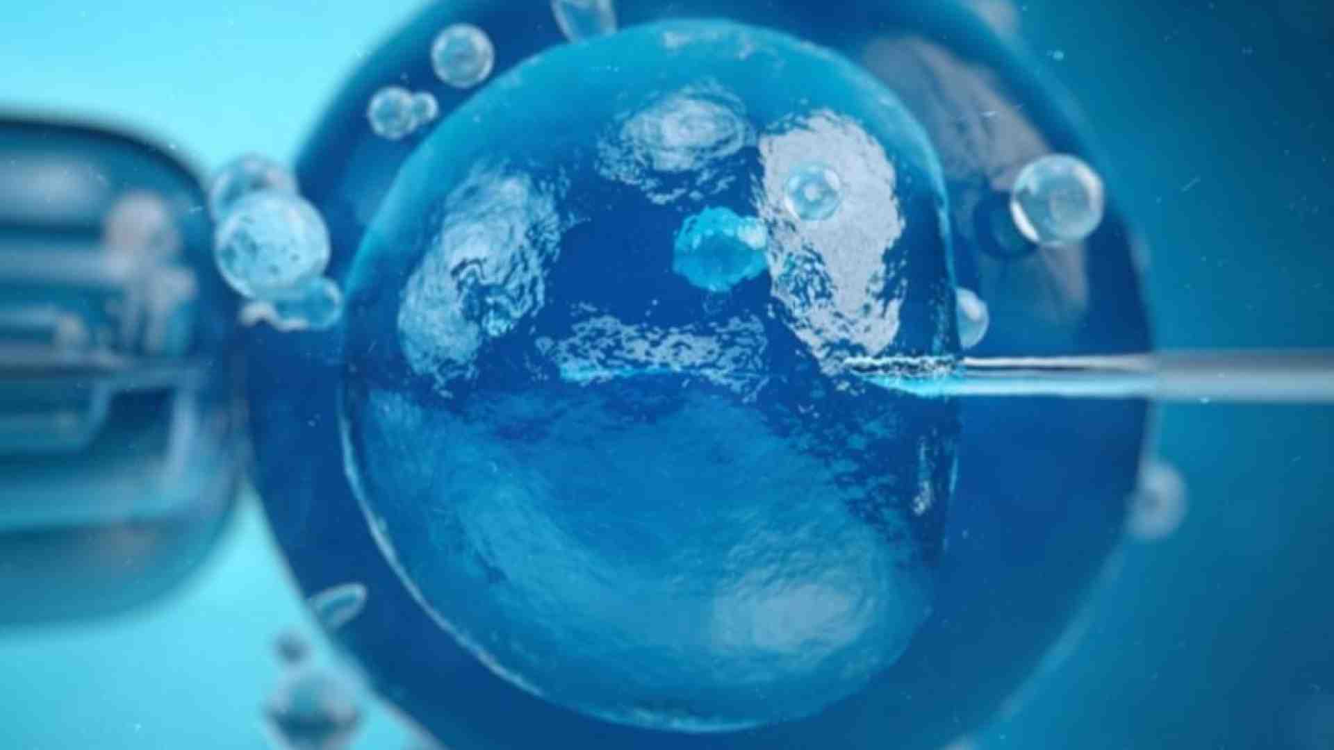 Immagine di È nato il primo bebè “figlio” dell’Intelligenza artificiale