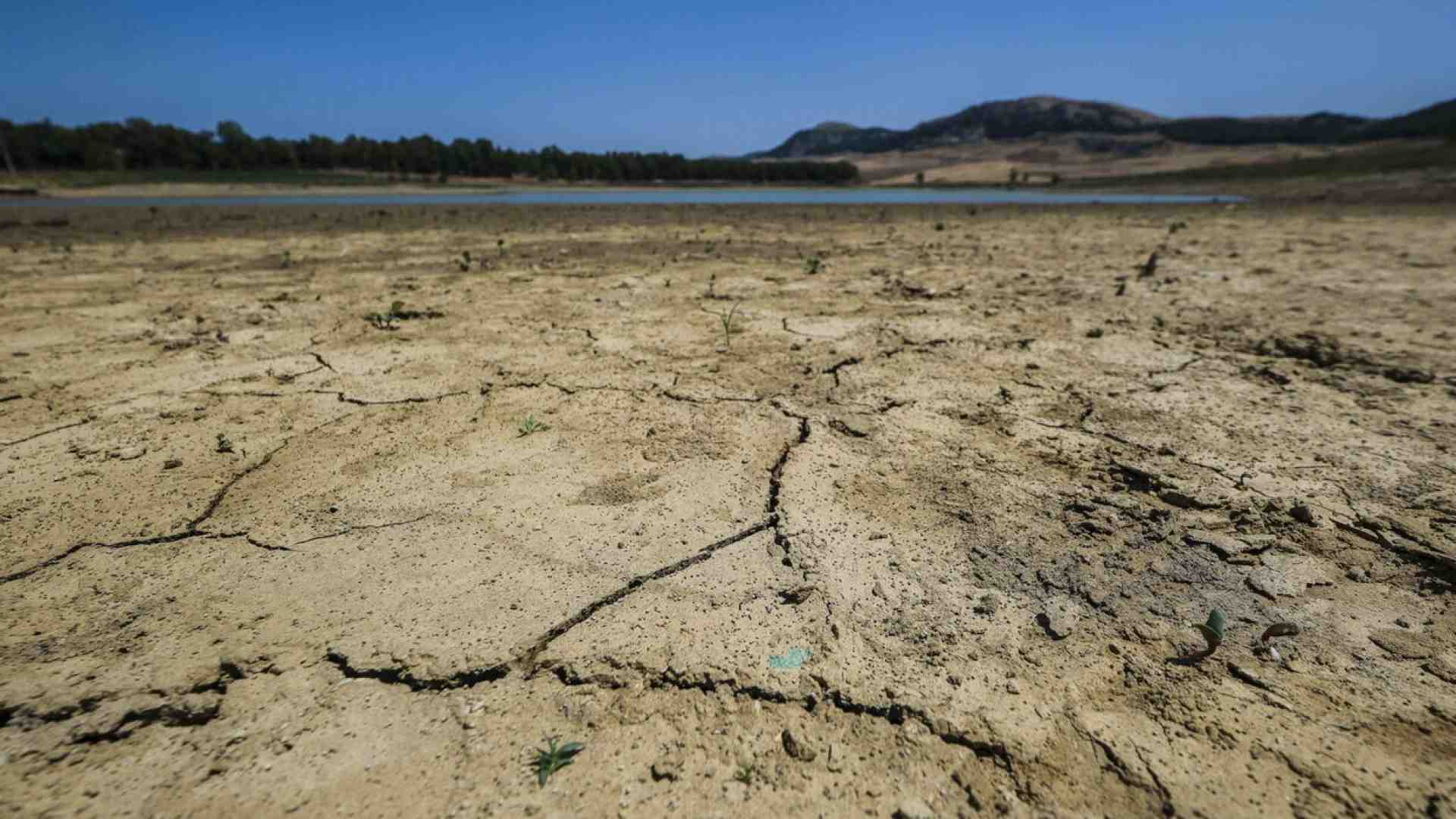 Immagine di Il buco all’Inps e l’acqua a Palermo: se c’è di mezzo la politica pure la matematica è un’opinione