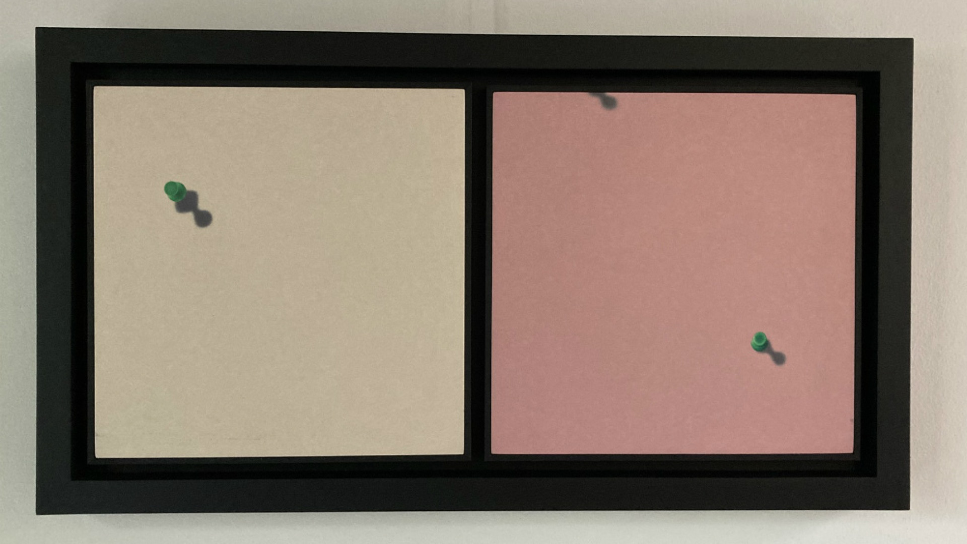 Immagine di Sospesi, fluttuanti Come insetti, foglie