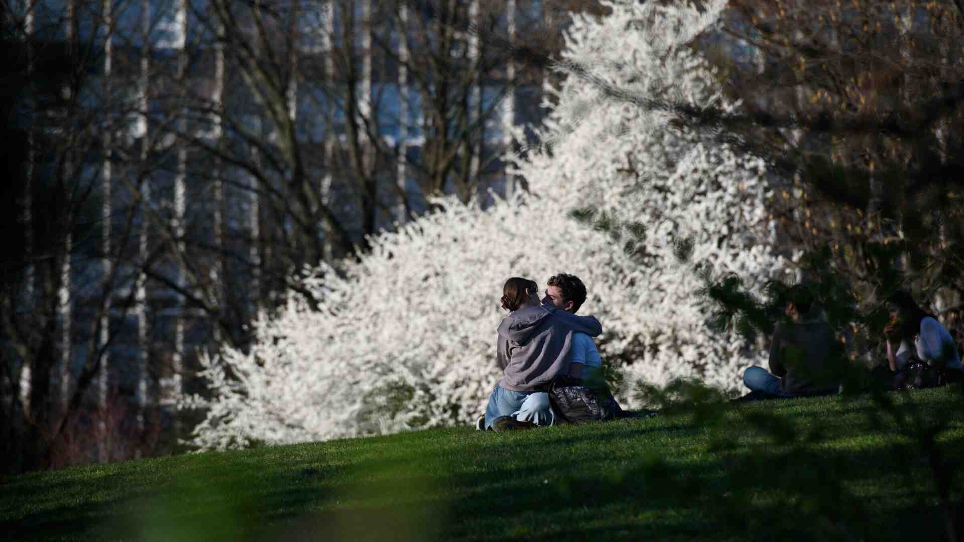 Immagine di Mettere al mondo un altro mondo: il cuore scoperto per ri-fare l’amore