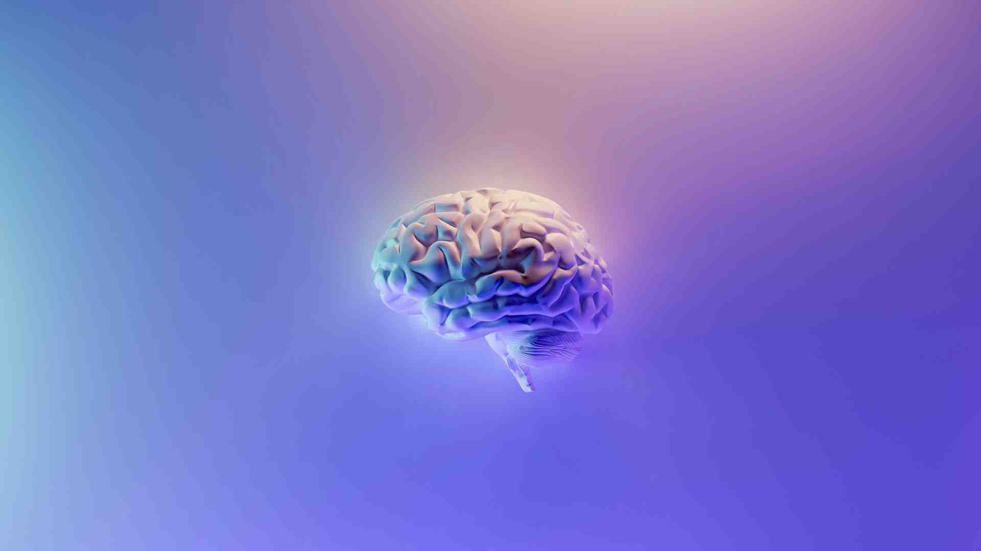 Immagine di Inespugnabile cervello. Perché l'AI non può replicare la coscienza umana
