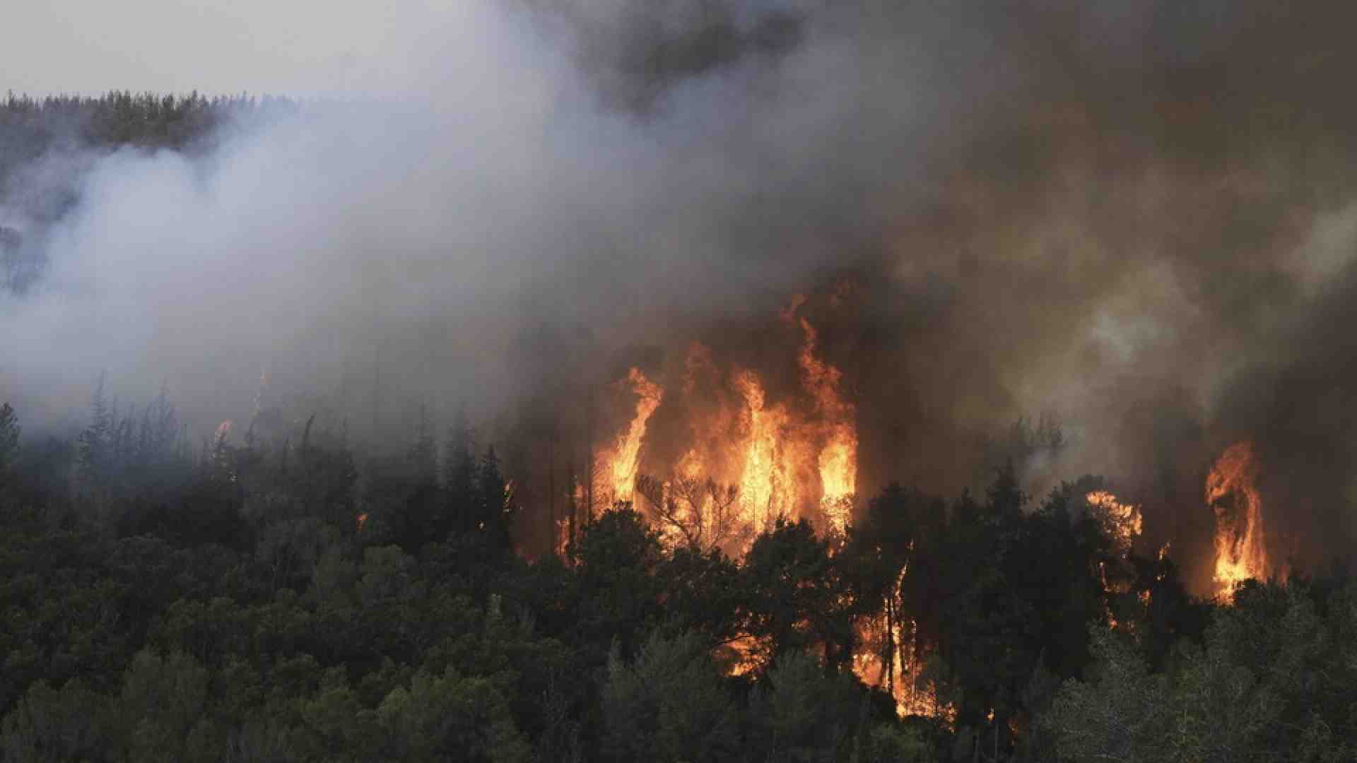 Immagine di Il più grande incendio della storia di Israele brucia la parte centrale dello stato ebraico