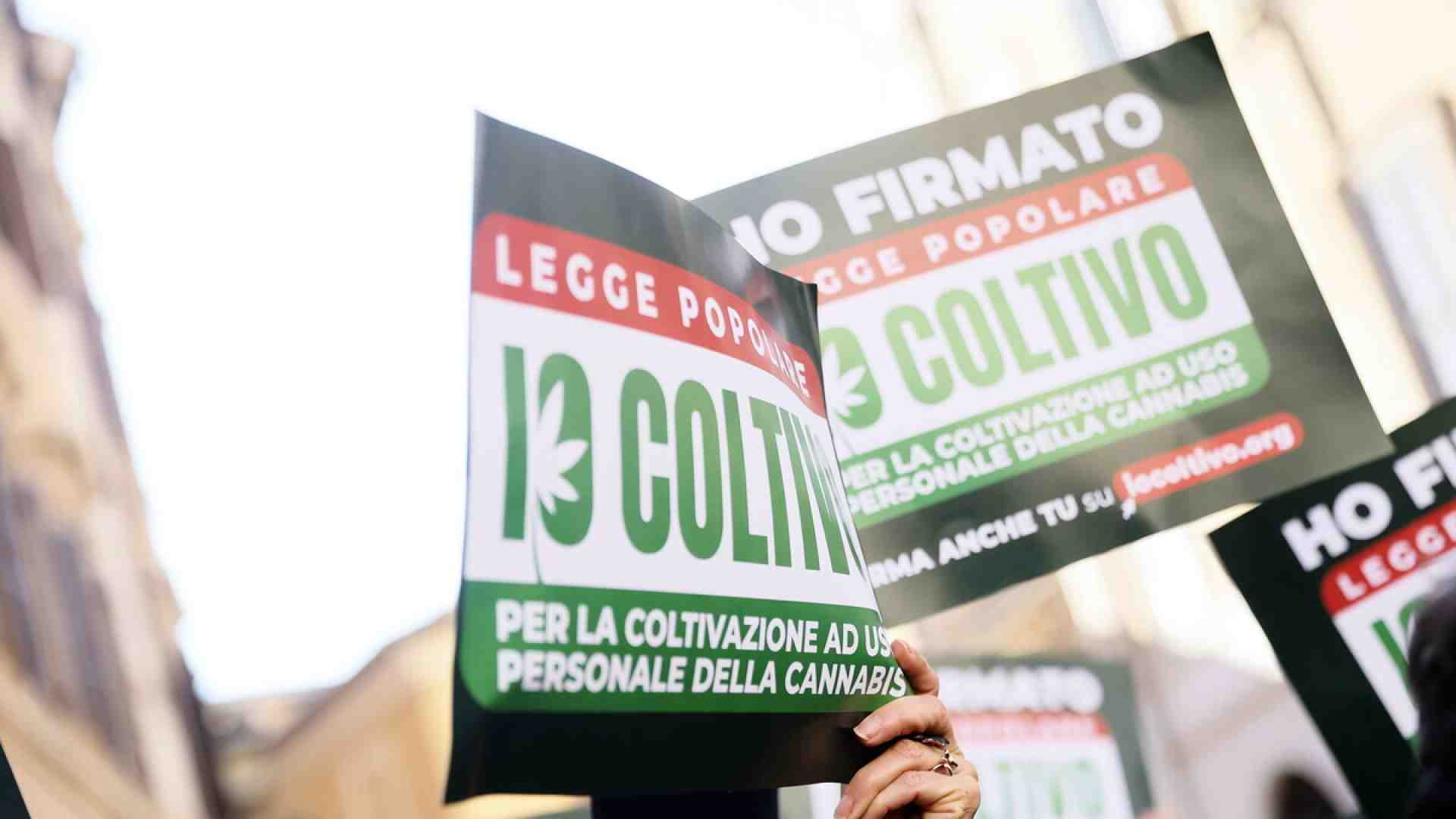 Immagine di L'idea che lo stato possa proibire una droga può avere pericolose conseguenze