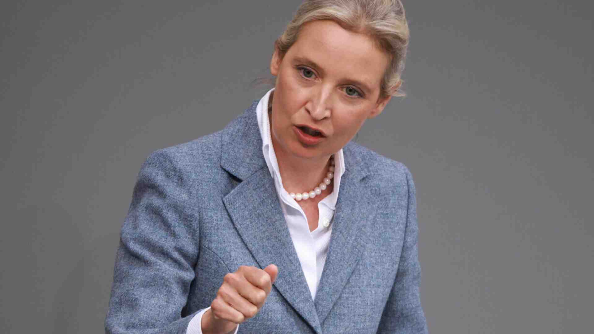 Immagine di Che cosa può succedere davvero all’Afd “estrema”. Intervista