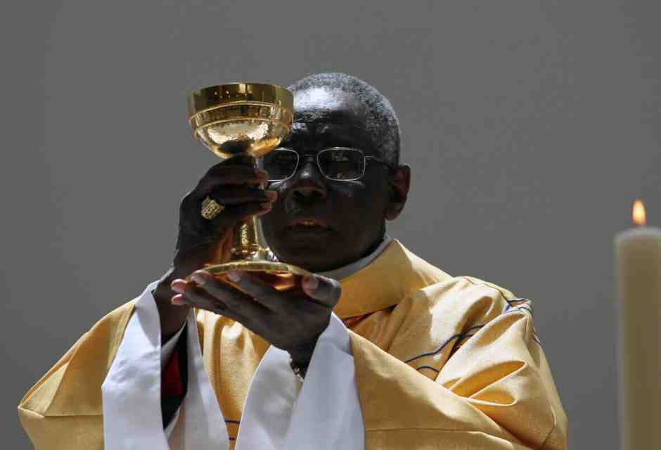 Cardinale Robert Sarah (Ansa)