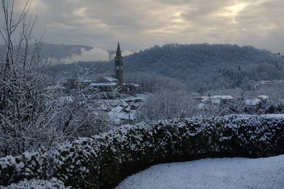 Cesara innevata - Sacco