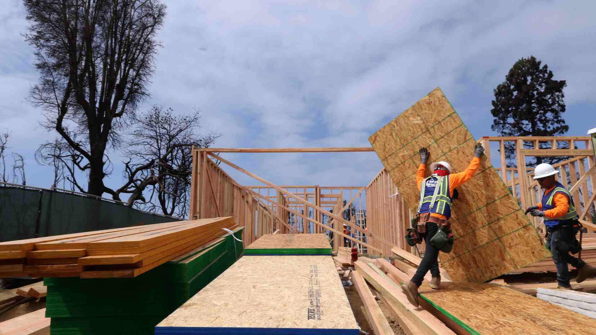 Immagine di Mercato del lavoro forte e salari deboli: cosa può fare il governo
