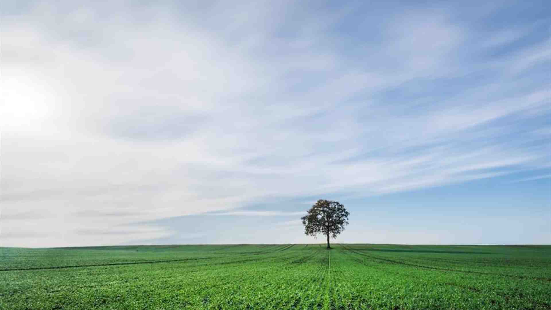 Immagine di Ecco le professioni che salgono e quelle che scendono