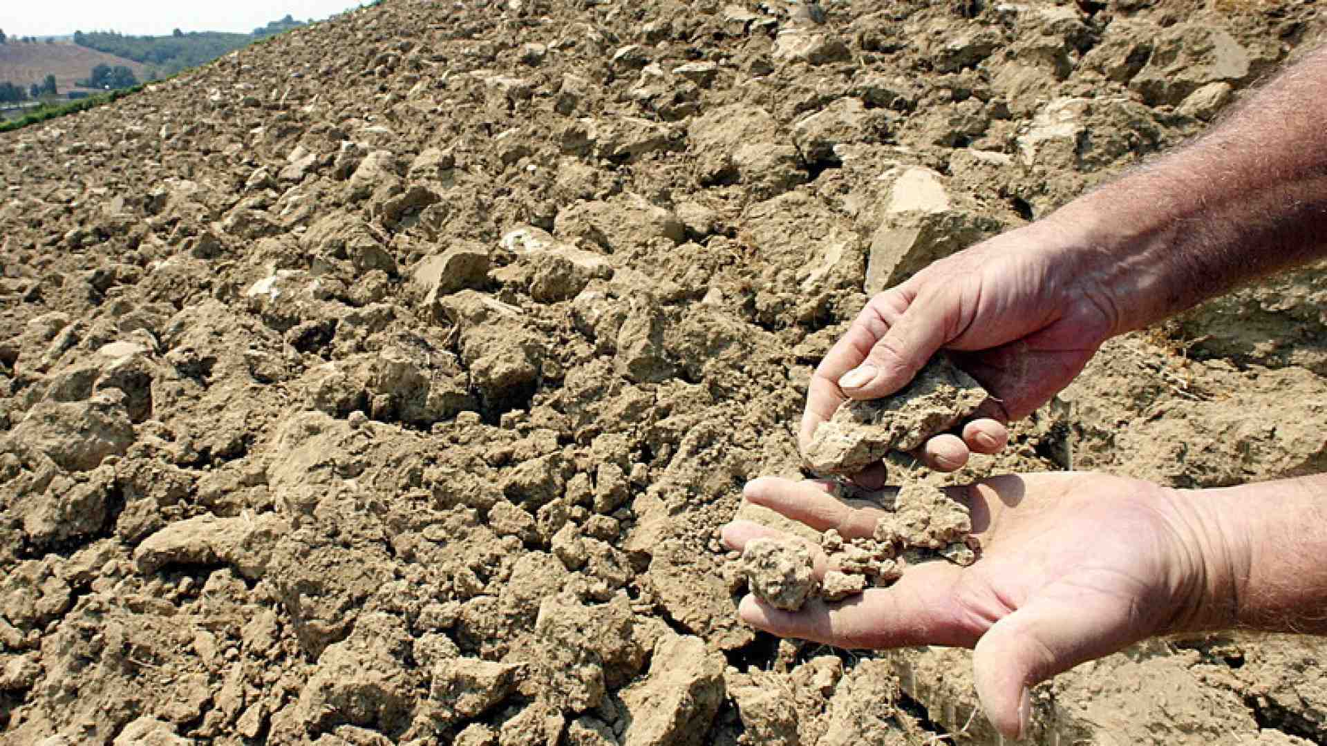 Immagine di Come vendere acqua in polvere e vivere felici