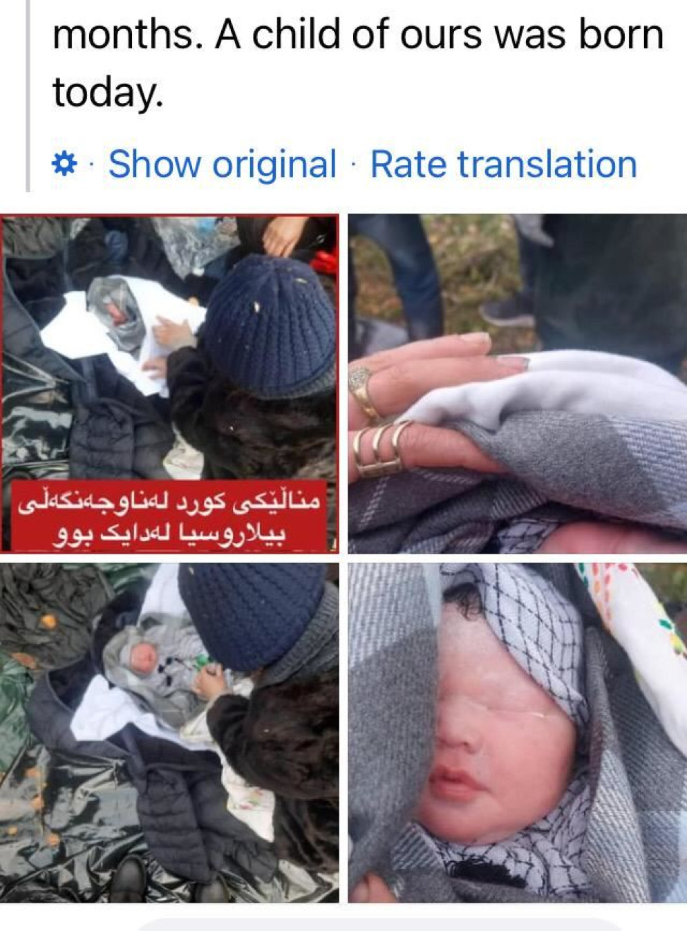 Le foto pubblicate su Twitter della bimba curda nata nella foresta al confine tra Bielorussia e Polonia - .