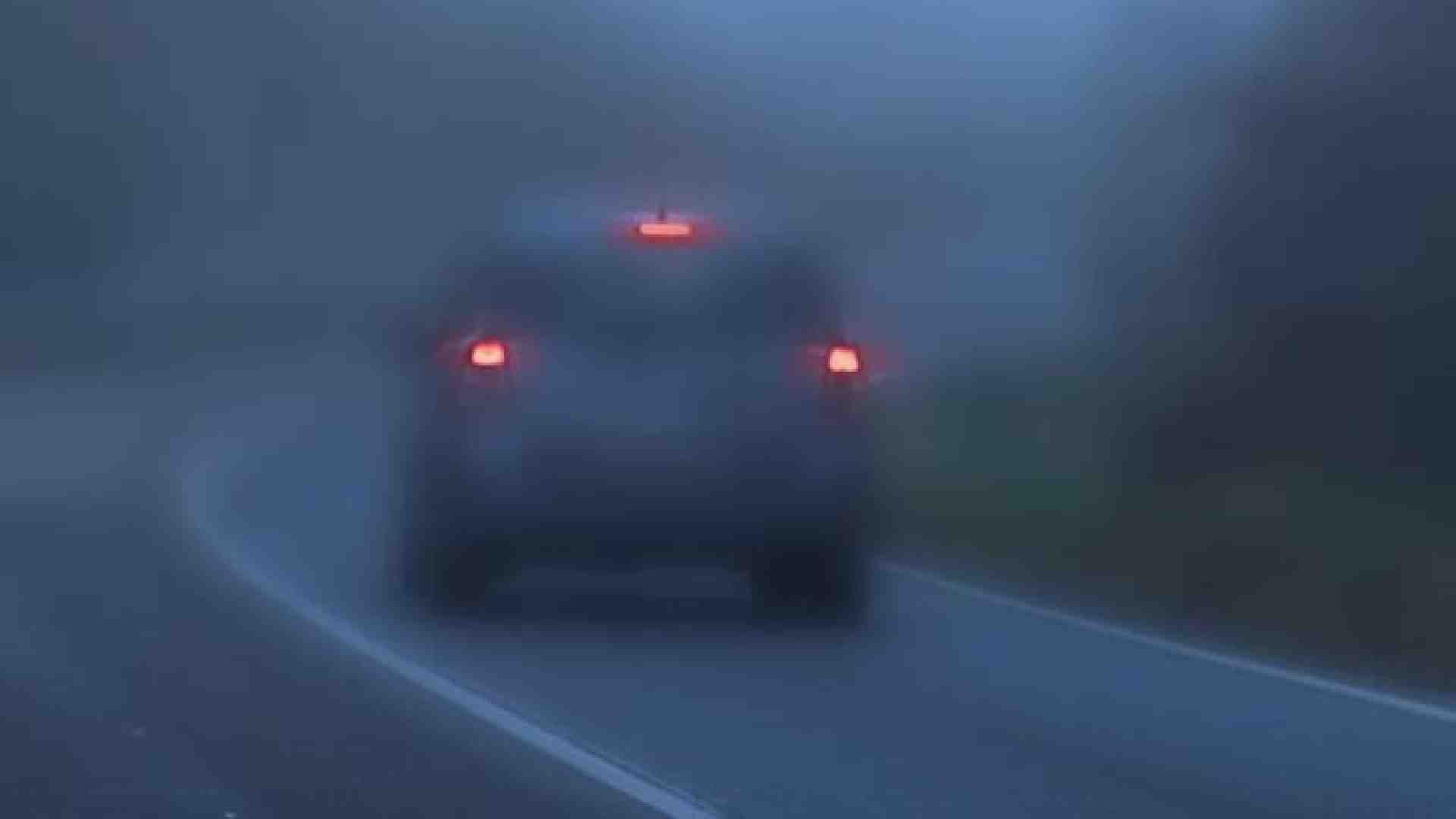 Immagine di L'automobile nella nebbia almeno per altri dieci anni