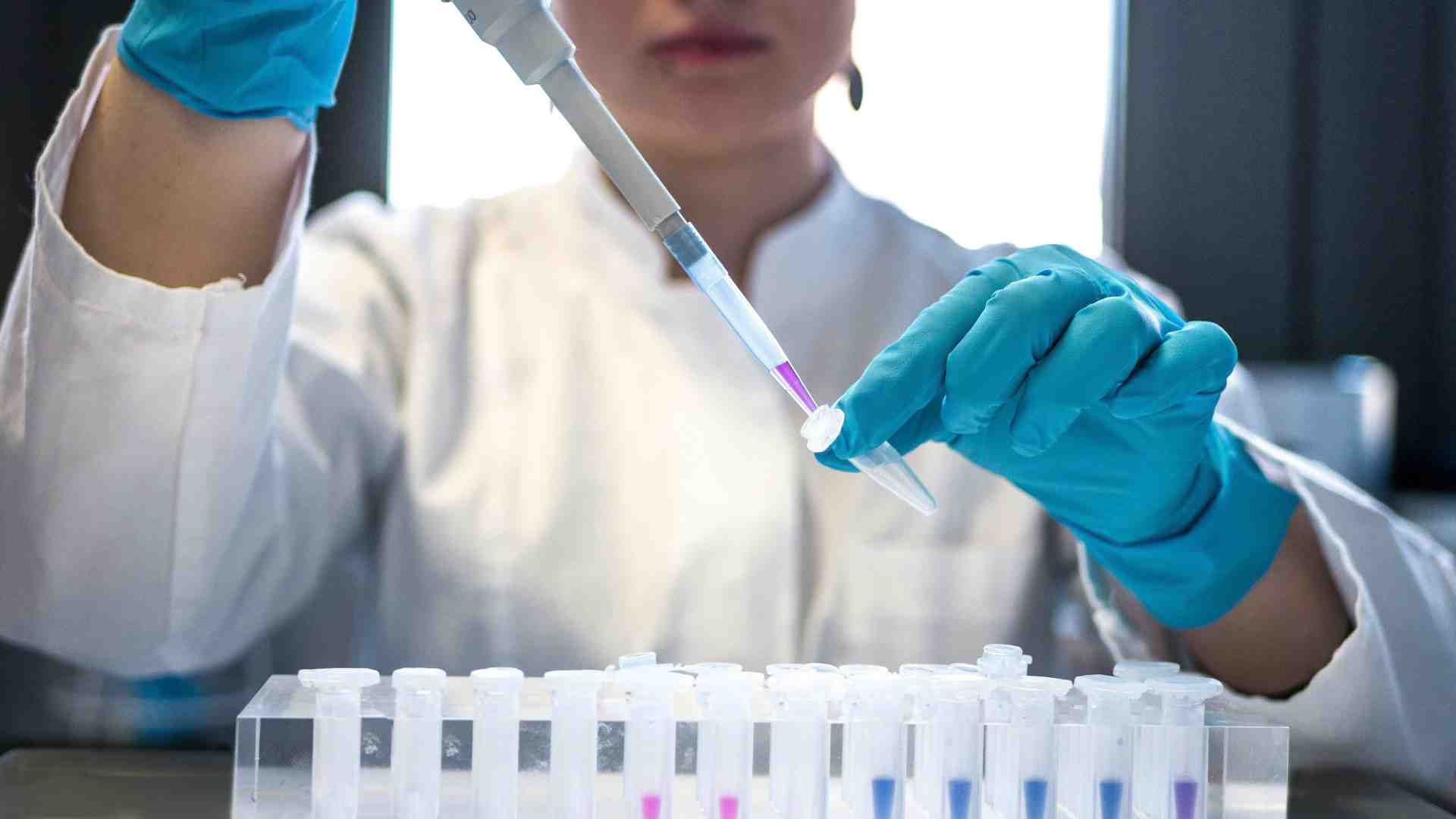 Immagine di L’integrità scientifica, tra Scilla e Cariddi