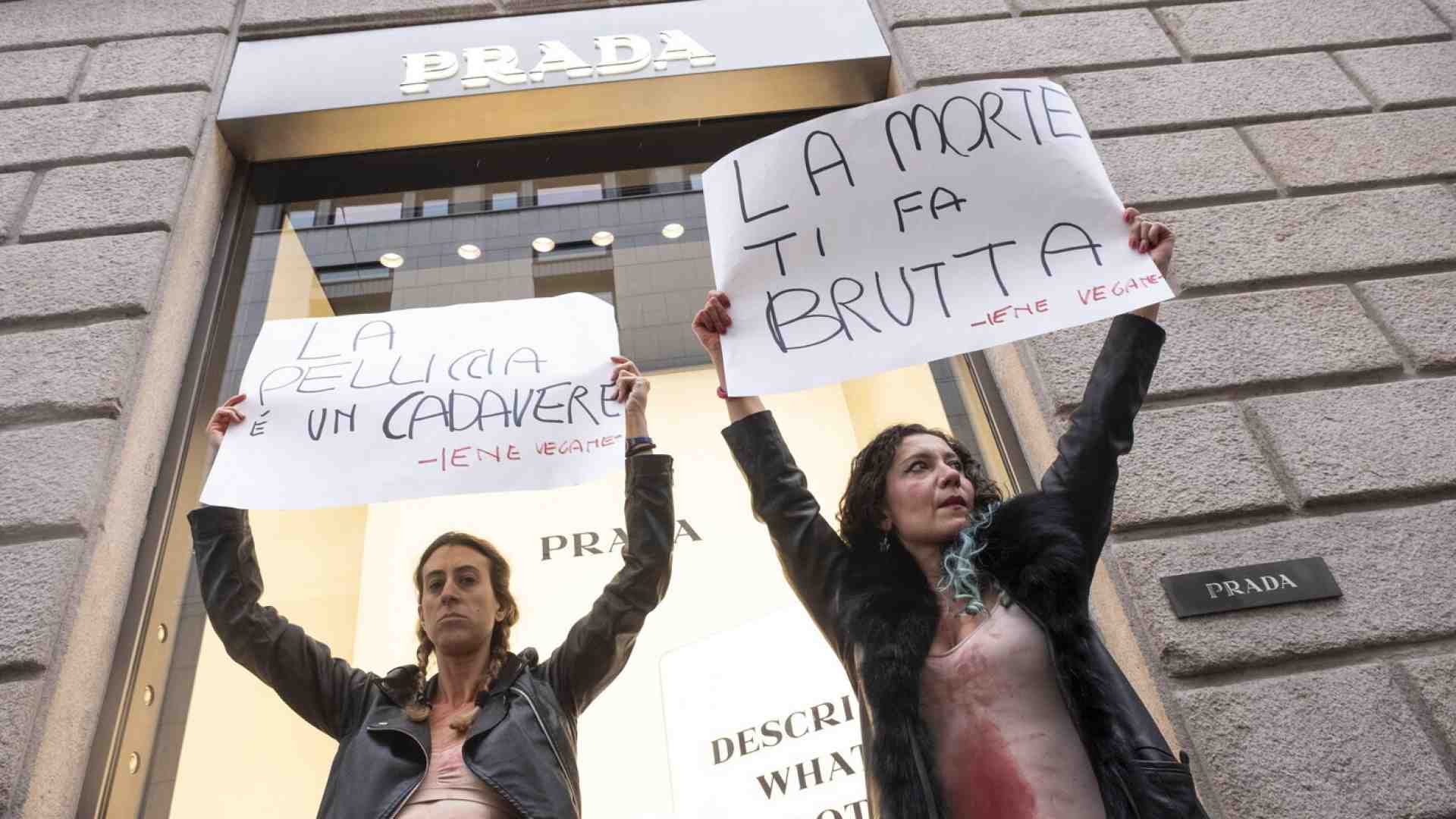 Immagine di Il veganesimo è una gran brutta religione