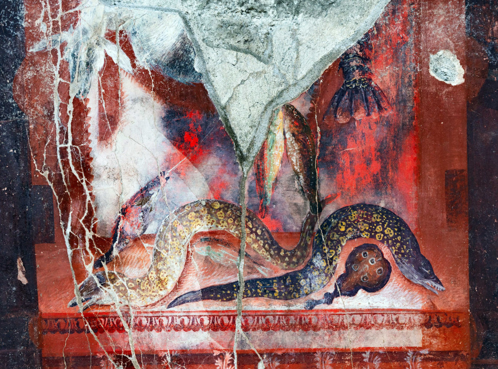 La Casa del Tiaso a Pompei - Fotogramma