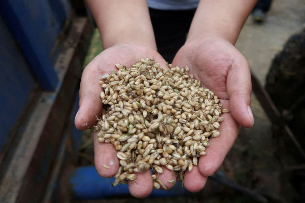 La Cina è il più grande produttore e importatore agricolo al mondo - REUTERS