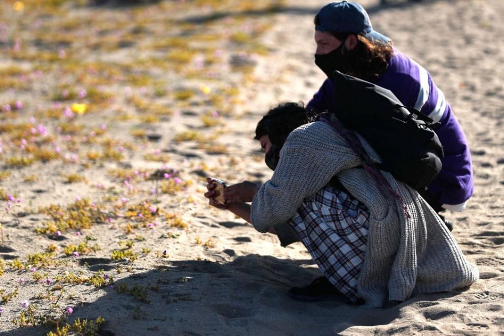 I fiori nel deserto - Ansa