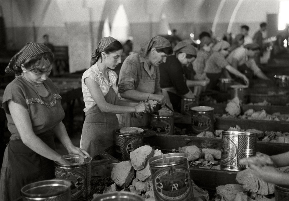 Herbert List, Favignana, grandi tranci di tonno vengono puliti a mano e inscatolati, 1951 - Herbert List Estate, Hamburg, Germany