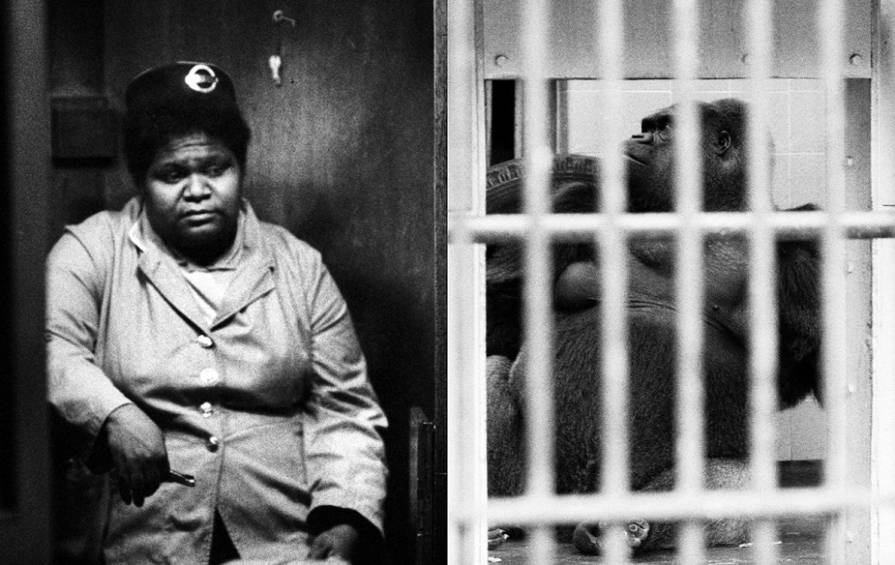 Le foto dello scandalo che hanno portato al ritiro del libro "London". Ora una mostra restituisce dignità al lavoro del fotografo italiano - Archivio Gian Butturini