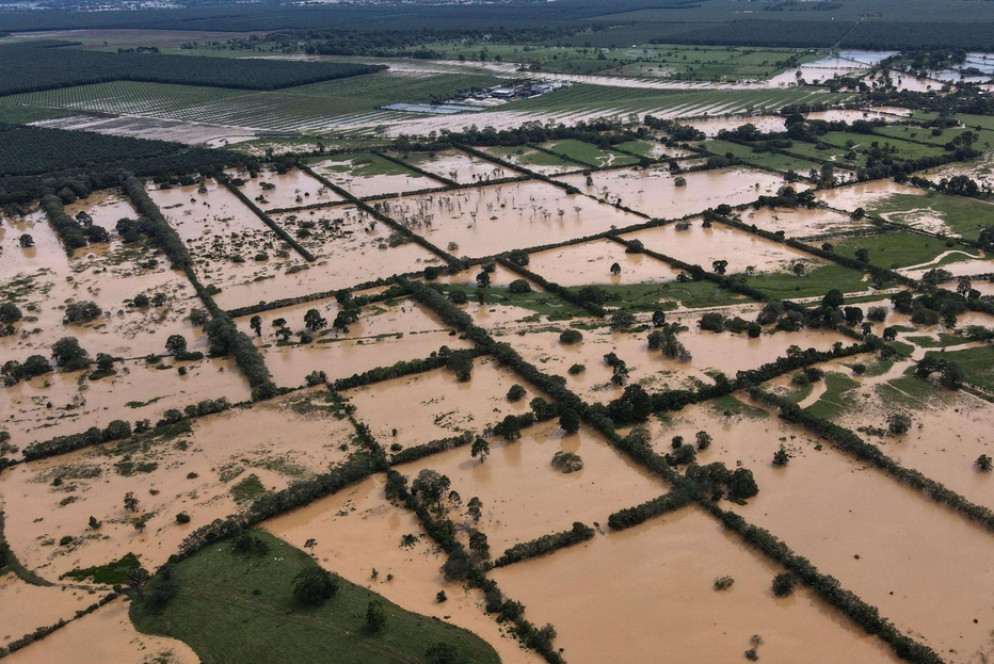 Ansa