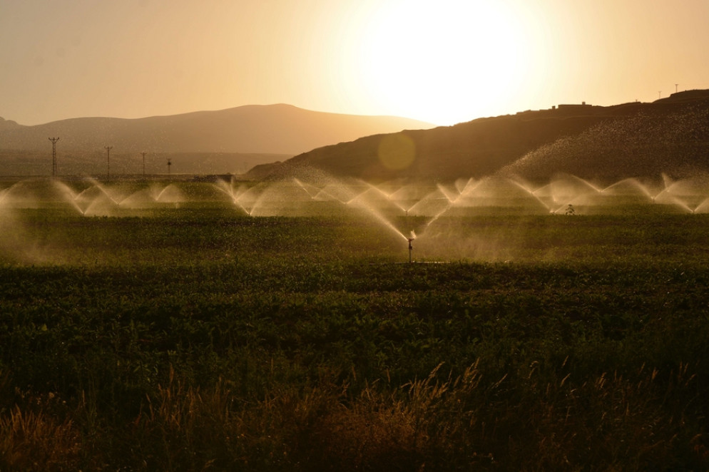 Campi irrigati - Süleyman Şahan via Pexels