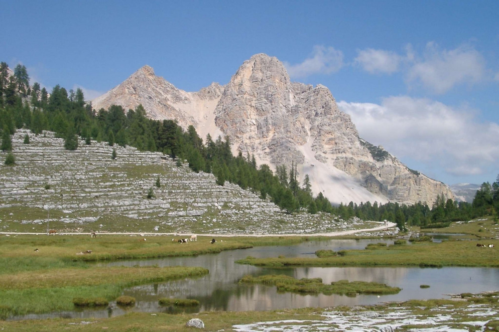 Il "parlamento delle marmotte" nella Val di Fanes, nei pressi di San Vigilio di Marebbe (WikiCommons)