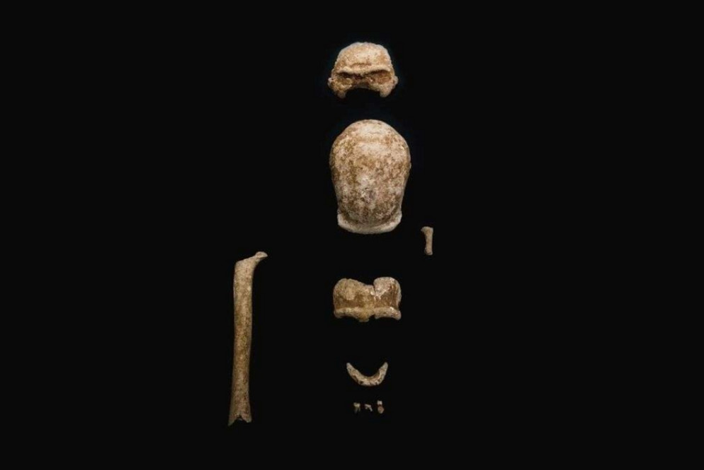 Uno degli scheletri di Neanderthal ritrovati al Circeo - Mic/Ansa