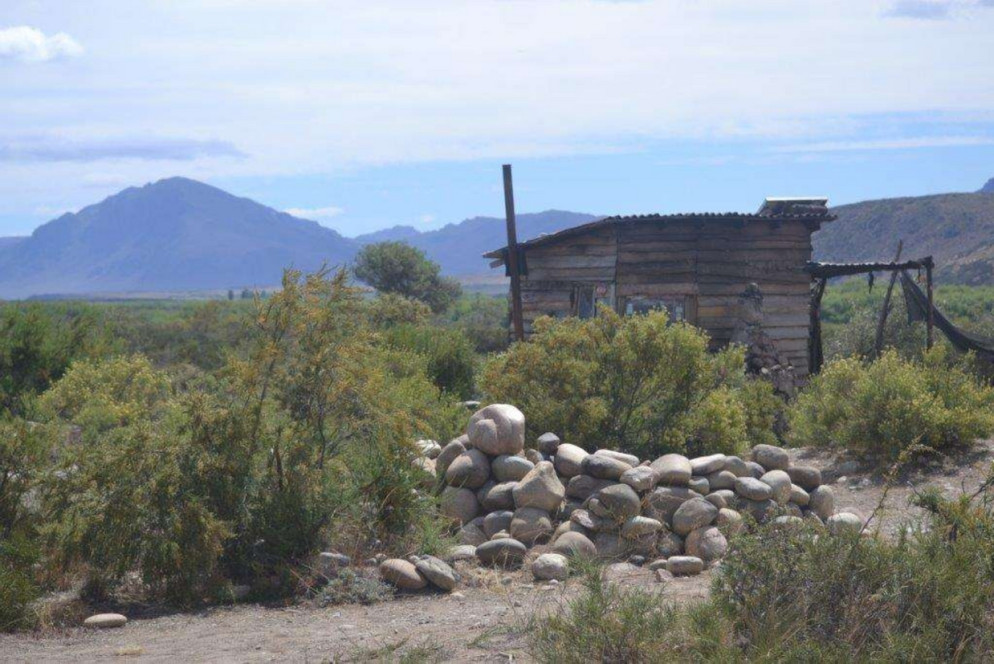 I Mapuche («gente della terra») sono impegnati in una dura lotta contro le multinazionali straniere accusate di accaparraemento della terra («land grabbing»)