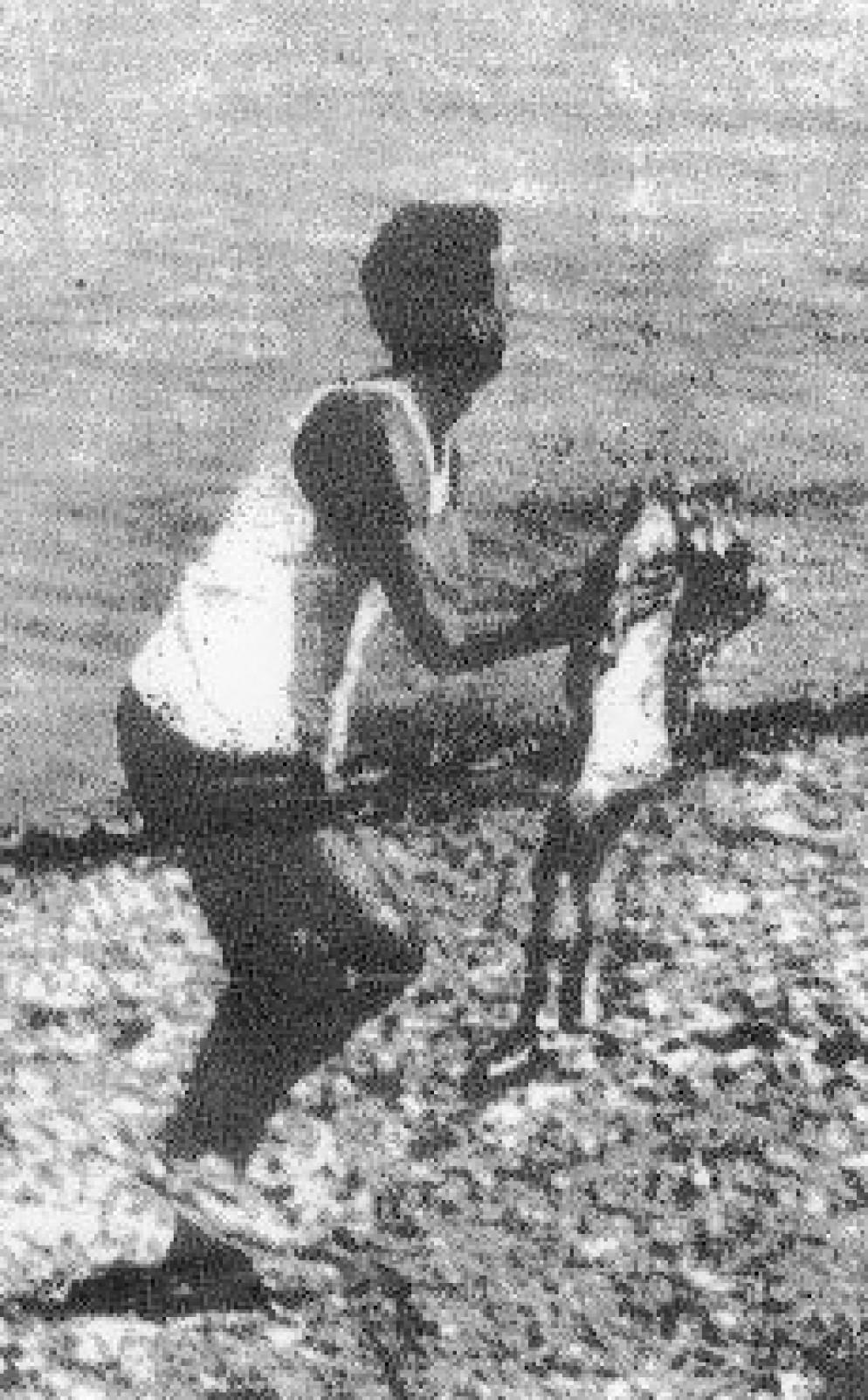 La foto simbolo della strage di Vergarolla: per la prima volta è noto il nome dell’uomo, Mario Angelini - Archivio Avvenire