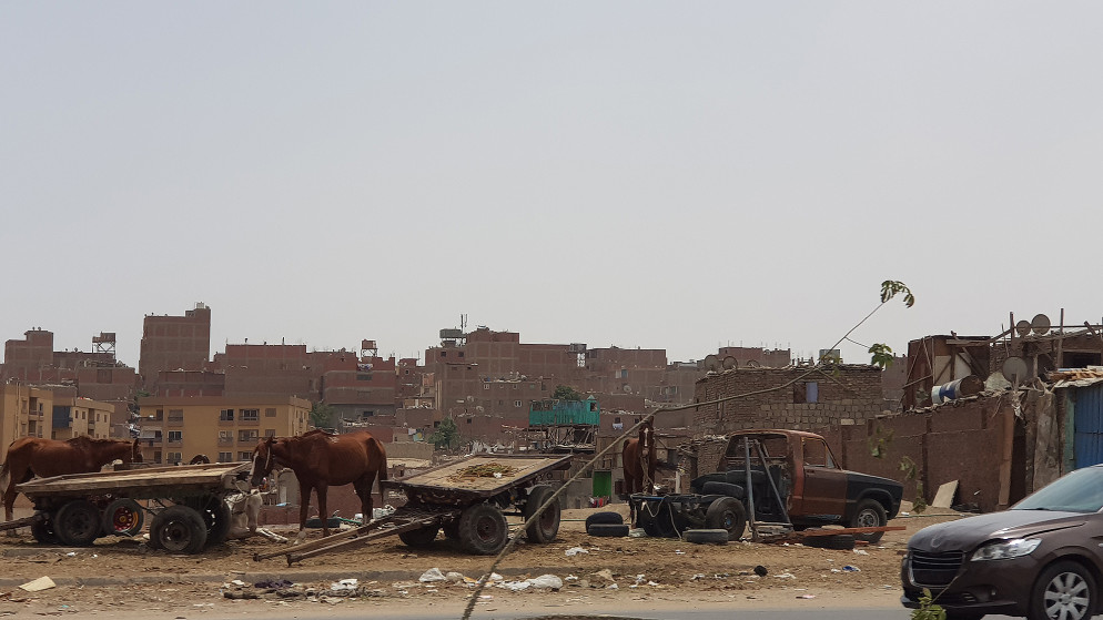 Alla periferia del Cairo, di ritorno dall'area copta (Raul Gabriel)